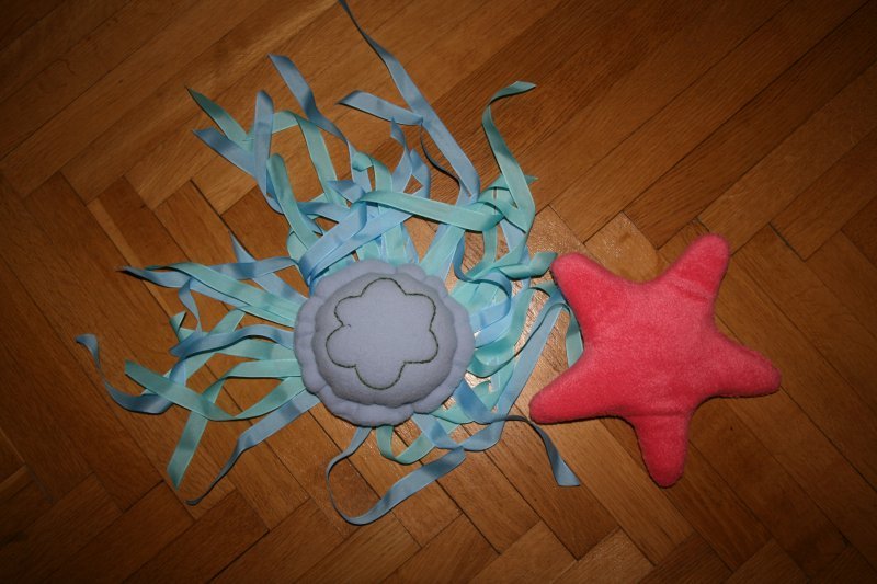meduza-a-hviezdica